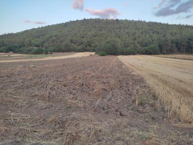 1 Dönüm Resmi Yolu Olan Yatırımlık Merkeze Yakın Arazi Osmnlıdan 1 Dönüm Resmi Yolu Olan Yatırımlık Merkeze Yakın Arazi Osmnlıdan