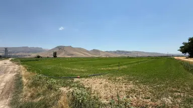 Öz Gaye Emlaktan Develi Zile Örentepe Mevkiinde Satılık Tarla