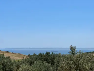 Tepeköy Mahallesinde Mükemmel Deniz Manzaralı Zeytinlik Tepeköy Mahallesinde Mükemmel Deniz Manzaralı Zeytinlik