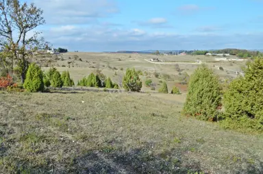 Gebze Duraklı'da Orman Yolu Olan Satılık 3.500 M² Arsa