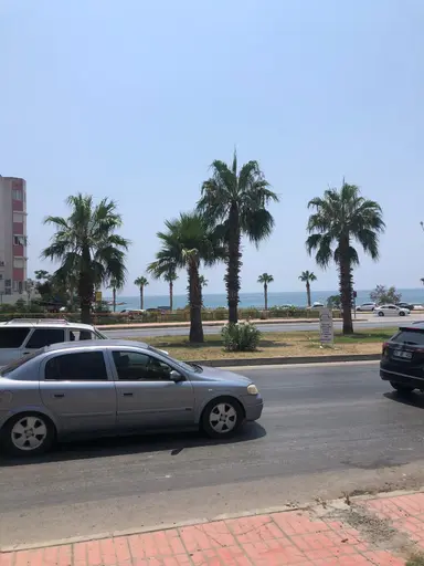 Susanoğlu'nda Aktif Çalışır Halde Mersin-antalya Yoluna Sıfır Satılık Pansiyon! Susanoğlu'nda Aktif Çalışır Halde Mersin-antalya Yoluna Sıfır Satılık Pansiyon!