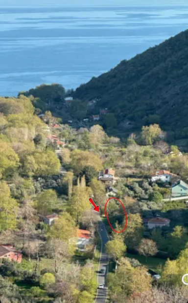 Delux'den Trakya'nın Doğa İncisi Uçmakdere'de Satılık Tarla Delux'den Trakya'nın Doğa İncisi Uçmakdere'de Satılık Tarla