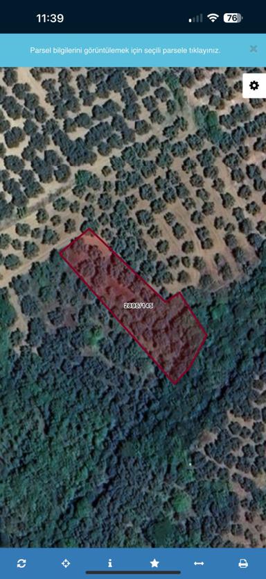 Bursa Mudanya Yalıçiftlik Fırsat Zeytinlik 1132m2 Bursa Mudanya Yalıçiftlik Fırsat Zeytinlik 1132m2