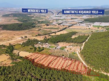 Bal Gayrimenkul - Değirmendere Malta Şelalesi Üzeri Uygun Fiyatlı Bahçe