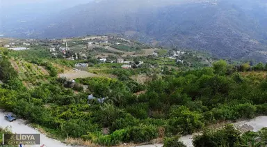 1,568 M2 Müstakil Tapu 2 Kat 2 Adet Konut İmarlı Şeftali Bahçesi 1,568 M2 Müstakil Tapu 2 Kat 2 Adet Konut İmarlı Şeftali Bahçesi
