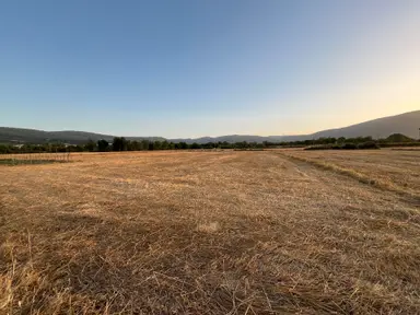Muğla Yeşilyurt'ta Yolu Olan Dümdüz Tarla