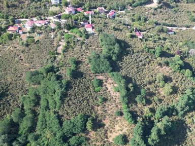 Fiyat Düştü Perşembe/ Kozağzı(10.987 M2)satılık Yada Araç Takasılı Fındık Bahçesi