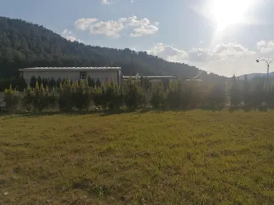 Bal Gayrimenkul-çatalcada Elektrik Su Hazır 580 M2 Köşe Parsel