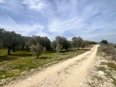 Manisa Kırkağaç