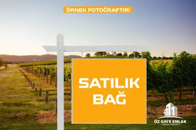 Öz Gaye Emlaktan Develi Gaziköy Mahallesinde Satılık Bağ Öz Gaye Emlaktan Develi Gaziköy Mahallesinde Satılık Bağ