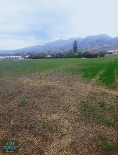Korkuteli Kozağacında Satılık Tarla Sera Yeri Korkuteli Kozağacında Satılık Tarla Sera Yeri