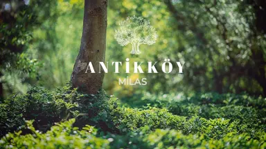 Ekoturizm İmarlı Milas Antikköy Projesine Geç Kalmayın