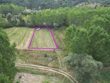 Kütahya Gediz Yağmurlar Köyü 1316 M2 Satılık Yatırımlık Verimli Tarla Kütahya Gediz Yağmurlar Köyü 1316 M2 Satılık Yatırımlık Verimli Tarla