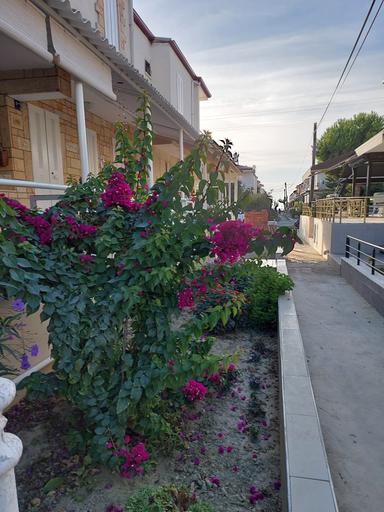 Karaova'da Denize 100 Metre Yazlık