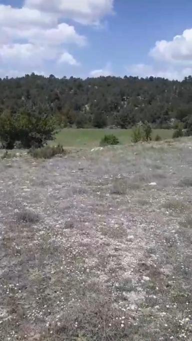 Çameli Ayvacık Ta 1770 M2 Tarla Satılık Çameli Ayvacık Ta 1770 M2 Tarla Satılık