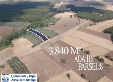 Çanakkale Biga Kepekli 3.840 M2 Satılık Verimli Zeytinlik Çanakkale Biga Kepekli 3.840 M2 Satılık Verimli Zeytinlik