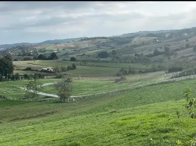 Sakarya Kaynarca Kertilde Satılık Hisseli Arsa Sakarya Kaynarca Kertilde Satılık Hisseli Arsa
