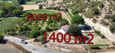 Tek Sahibinden 7400 M2 Ceviz, Meyve Ve Hobi Bahçeli Çiftlik Evi. Tek Sahibinden 7400 M2 Ceviz, Meyve Ve Hobi Bahçeli Çiftlik Evi.