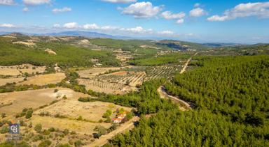 İzmir Bergama Zeytindağ'da Satılık 2 Adet Dağ Evi Ve Tarla İzmir Bergama Zeytindağ'da Satılık 2 Adet Dağ Evi Ve Tarla