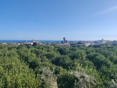 Mersin Erdemli Kargıcak 4.869 M2 Arsa Ve İçinde 2+1 Müstakil Daire Mersin Erdemli Kargıcak 4.869 M2 Arsa Ve İçinde 2+1 Müstakil Daire