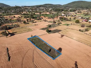 Yayla Mahallesi Fesleğen’de 902 M² Tarla – Gelişime Açık