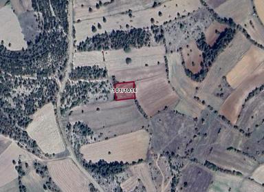 Kütahya Emet Uzunçam Köyünde 1.713 M² Tarla Satılıktır