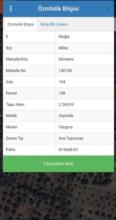 Muğla Milas Ekindere'de Satılık Zeytinlik Tarla