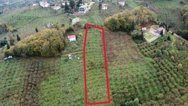 Trabzon Kavala'da Satılık Arazi Trabzon Kavala'da Satılık Arazi