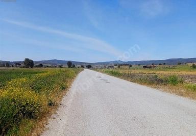 Golden Globy, Balıkesir Karesi Kocaavşar'da Satılık 3,5 Dönüm Düz Ve Verimli Tarla