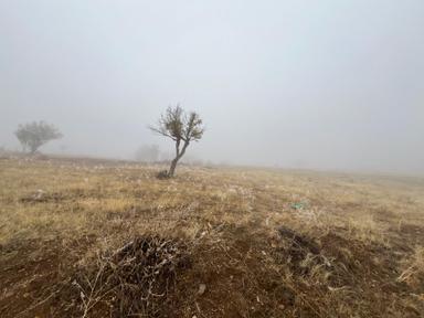 Öz Gaye Emlaktan Develi Tombak Bekçitepesi Mevkinde Satılık Arazi Öz Gaye Emlaktan Develi Tombak Bekçitepesi Mevkinde Satılık Arazi