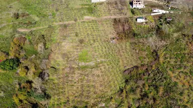 Trabzon Akçaabat Akçakale'de Satılık Arazi Trabzon Akçaabat Akçakale'de Satılık Arazi