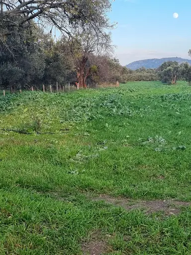 Premar Ayvada'dan Burhaniye Börezli
