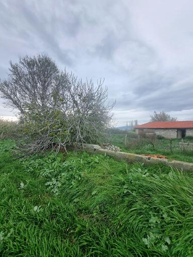 Premar Ayvada'dan Burhaniye Kızıklı Mahallesinde 15944 M2 Premar Ayvada'dan Burhaniye Kızıklı Mahallesinde 15944 M2