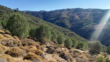 Güzelbahçe Yaka Mahallesi 6523 M2 Deniz Ve Doğa Manzaralı Tarla