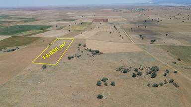 Konya / Akören / Karahüyük Mahallesinde 14.056 M² Müstakil Tapulu Tarla