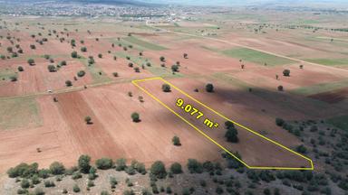 Akören Hacılar Da 9.077 M² Müstakil Tapulu Arazi