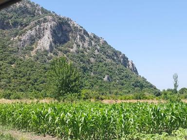 Ortaca Okçular Marmarlı’da 500 M² Müstakil Satılık Arsa