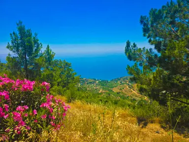 Mersin Anamur Anıtlı Yatırıma Uygun Satılık Tarla Mersin Anamur Anıtlı Yatırıma Uygun Satılık Tarla
