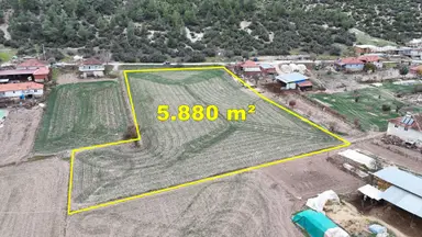 Uşak / Ulubey / Aksaz Mahallesinde 5.880 M² Müstakil Tapulu Tarla Uşak / Ulubey / Aksaz Mahallesinde 5.880 M² Müstakil Tapulu Tarla