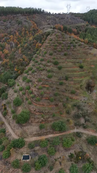 Gazipaşa Sessiz Cennet Bölgesinde, Doğa İle İç İçe Satılık ! Gazipaşa Sessiz Cennet Bölgesinde, Doğa İle İç İçe Satılık !