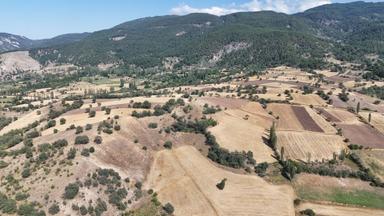 Amasya / Hamamözü / Dede Köy De 4.766 M² Müstakil Tarla Amasya / Hamamözü / Dede Köy De 4.766 M² Müstakil Tarla