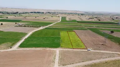 Konya / Akören / Tülce Mahallesinde 2.331 M² Müstakil Tapulu Tarla