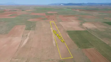 Konya / Akören / Orhaniye Mahallesinde 10.856 M² Müstakil Tapulu Tarla