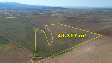 Konya / Akören / Orhaniye Mahallesinde 43.317 M² Müstakil Tapulu Tarla