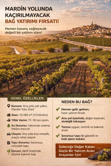 Yatırımlık Üzüm Bağı