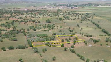 Akören Karahüyük De 3.817 M2 Müstakil Tapulu Bağ