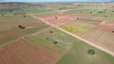 Konya / Akören / Alan Da 3.063 M² Müstakil Tarla