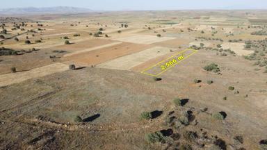 Konya / Akören / Hacılar Mahallesinde 2.566 M² Müstakil Tapulu Tarla