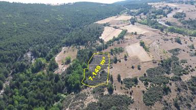 Konya / Doğanhisar / Kemer Mahallesinde 7.149 M² Müstakil Tapulu Tarla Konya / Doğanhisar / Kemer Mahallesinde 7.149 M² Müstakil Tapulu Tarla
