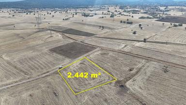 Konya / Akören / Tülce Mahallesinde 2.442 M² Müstakil Tapulu Tarla